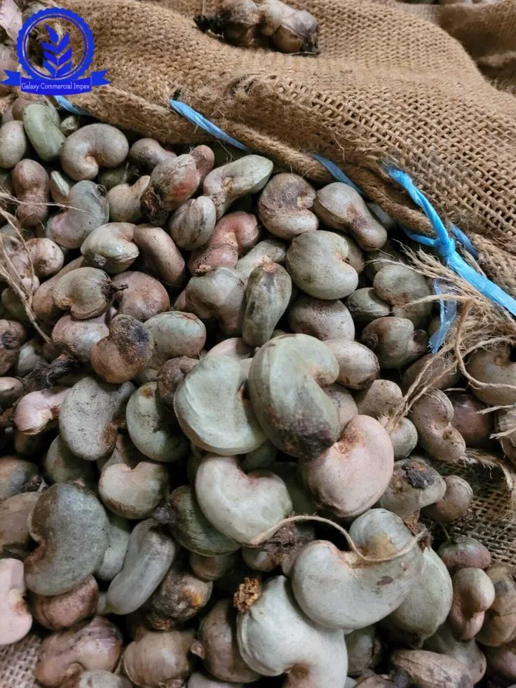 Cashew nuts