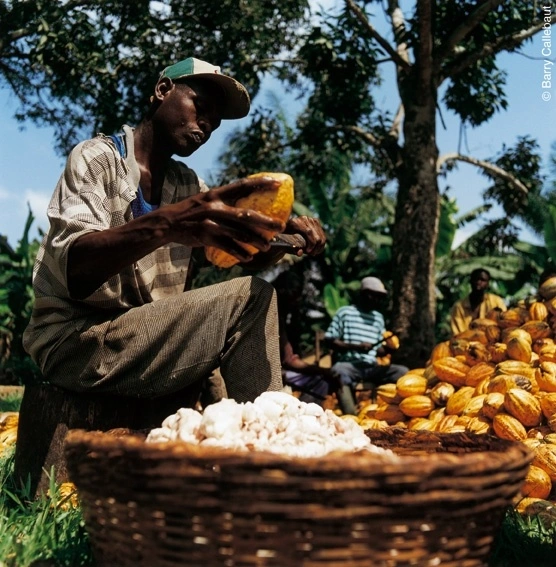 Agricultural operational management